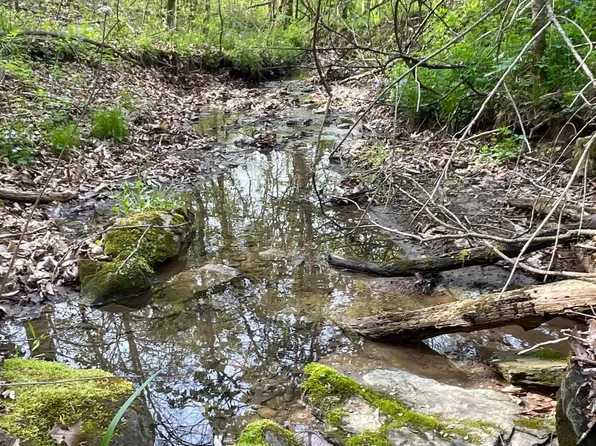 0 Rock Lick Rd, Crown City, OH 45623