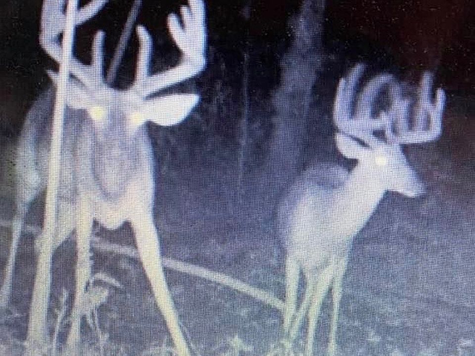 1st image of 1540 Fitler Bend Rd