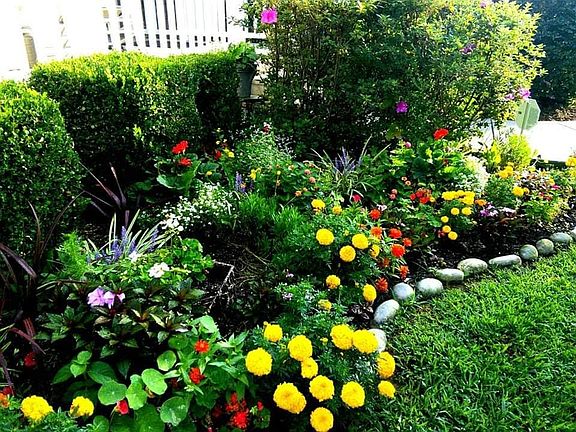 Front yard bed in summer