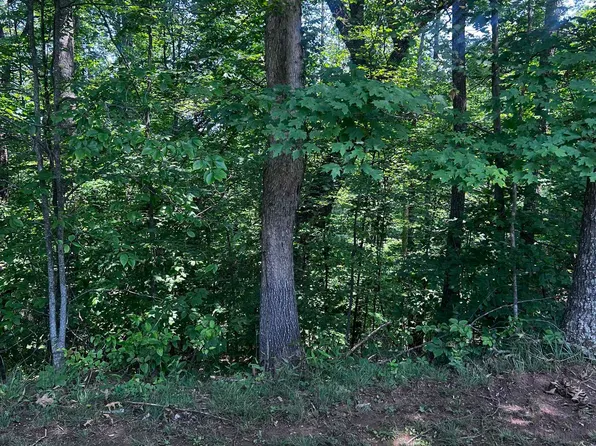 24 Jericho Rd, Ona, WV 25545