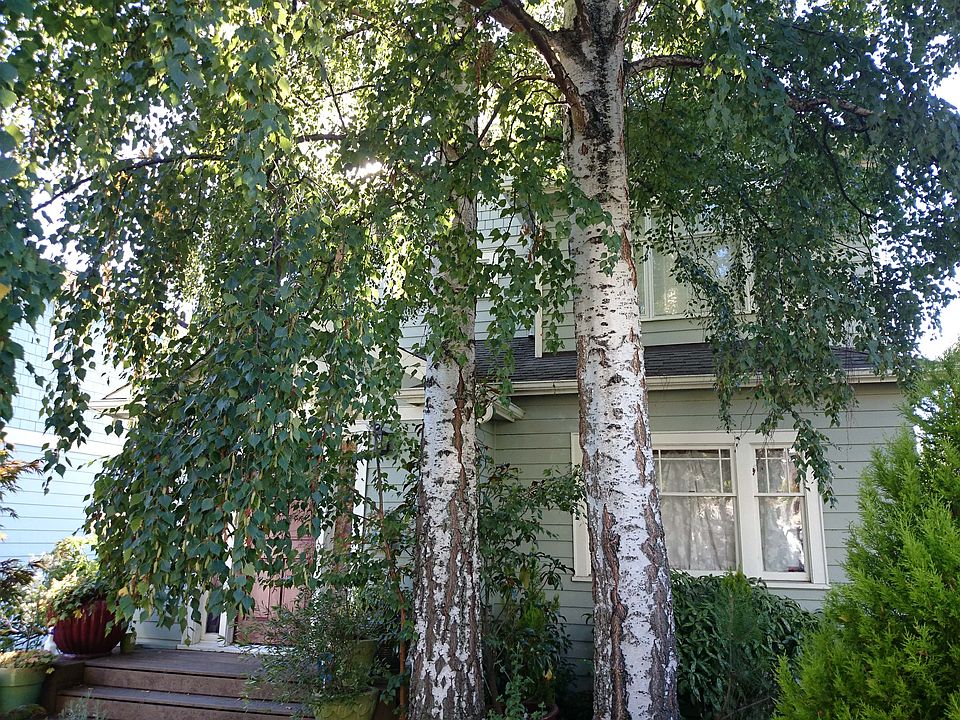 2nd image of 3825 42nd Ave NE