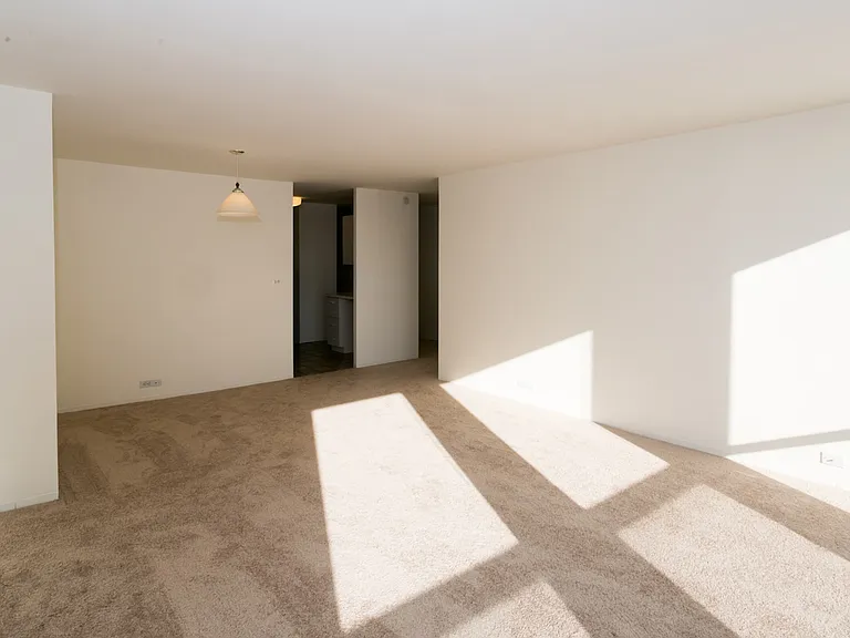 Dining/Living room