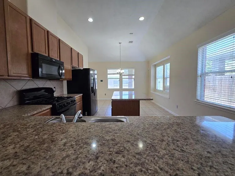 10014 Blissfull Valley Ln — Photo 10