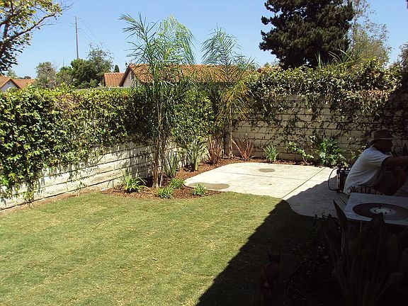 backyard