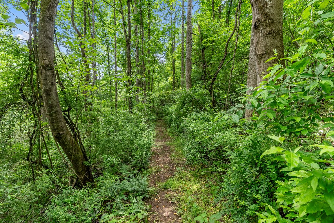 Lush and lovely trail
