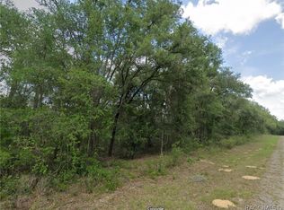 737 E Byrd Loop, Citrus Springs, FL 34434