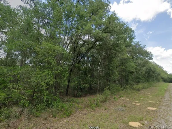 737 E Byrd Loop, Citrus Springs, FL 34434