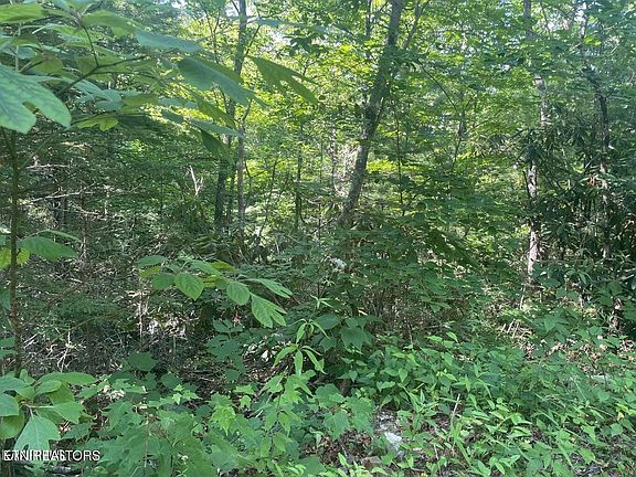 4th image of 89 Sycamore Dr Lot 89