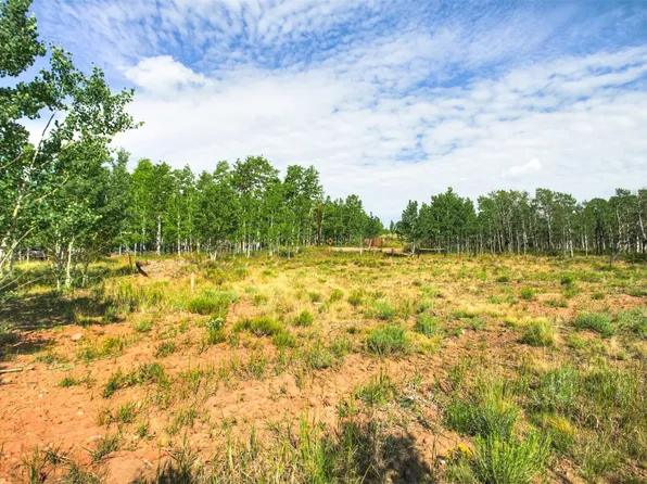 240 Beaver Ln, Fairplay, CO 80440