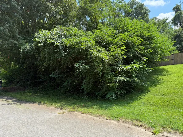 Rambling Rd, Morristown, TN 37814