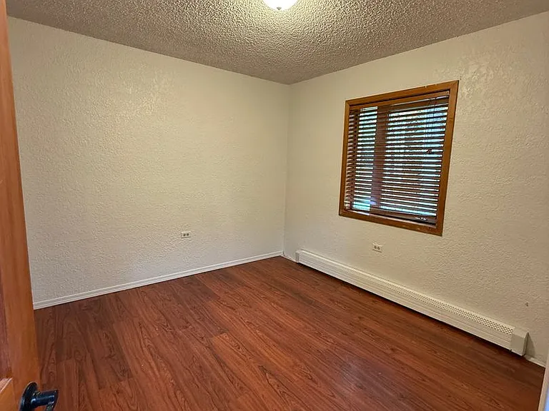 2667 Scotch Pine Dr — Photo 6
