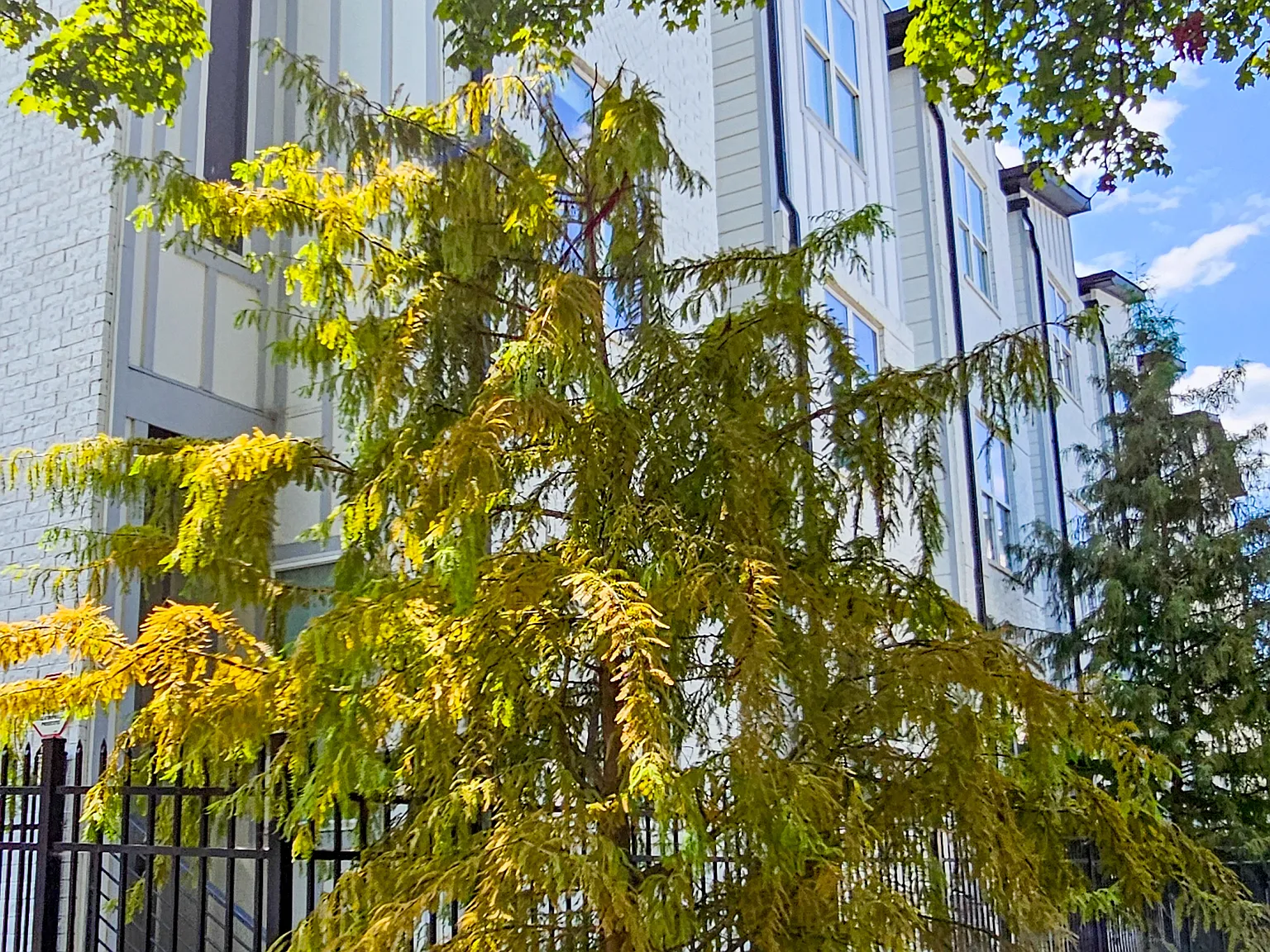 2001 Convent Pl — Photo 2