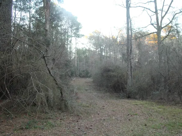 Odeal Williams Ln, Ethel, LA 70730