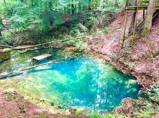 0 Laidler Rd LOT WP001, Pineview, GA 31071