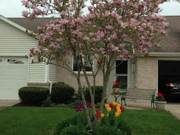 1650 Parker Dr, Wayland, MI 49348