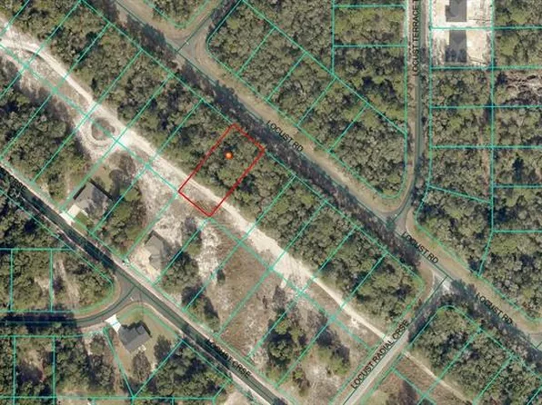 0 Locust Rd Lot 30, Ocala, FL 34472