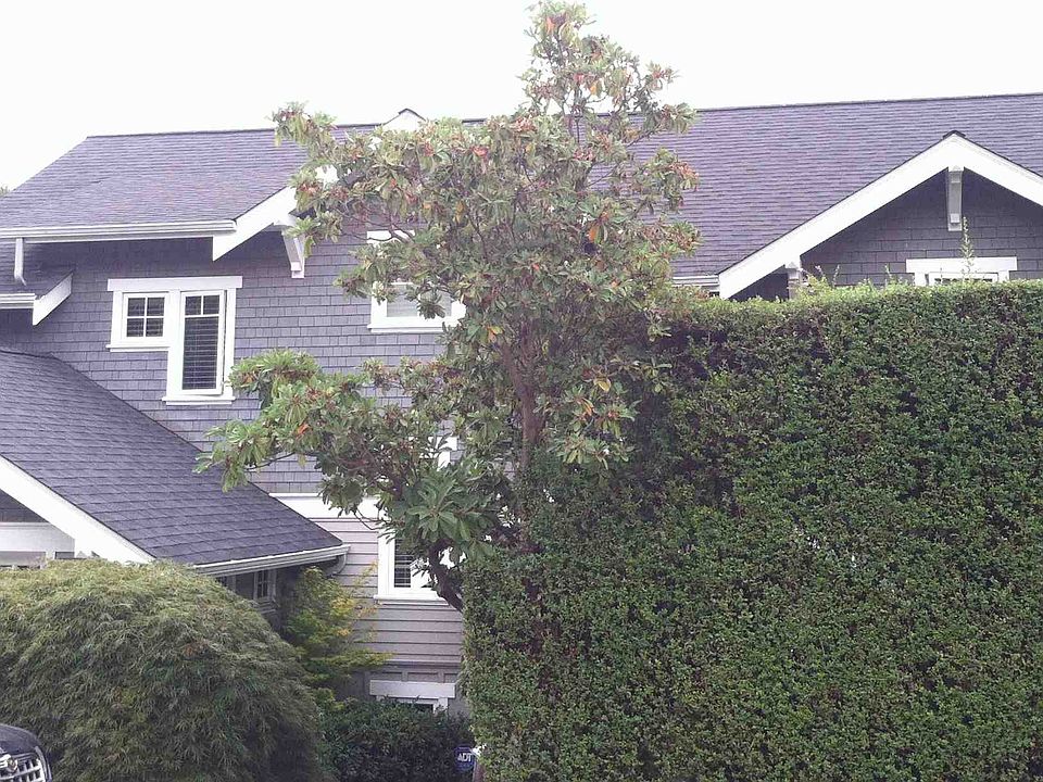 2nd image of 7336 57th Ave NE