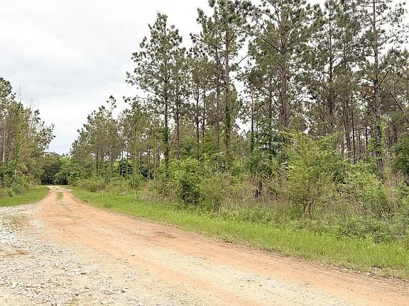 Img Road Timber