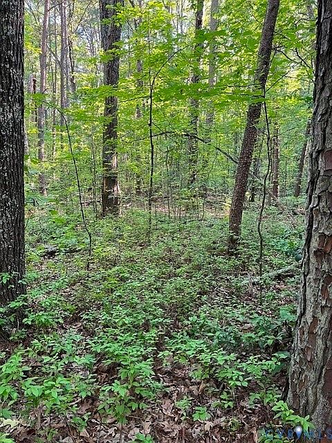 1st image of 16117 W Patrick Henry Rd Lot 1