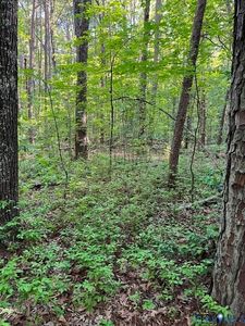 16117 W Patrick Henry Rd Lot 1, Montpelier, VA, 23192