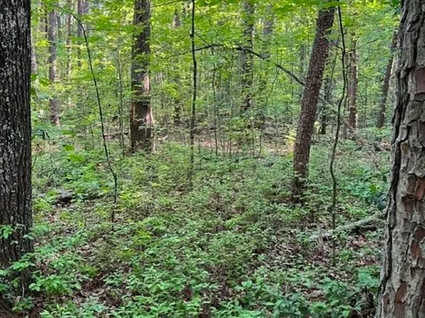16117 W Patrick Henry Rd Lot 1, Montpelier, VA 23192