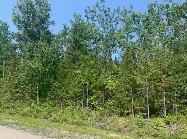 Wilderness Cir, Presque Isle, MI 49777