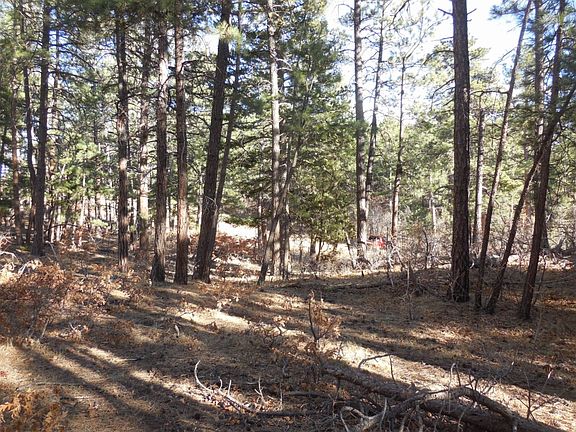3rd image of 8228 Bannock Dr