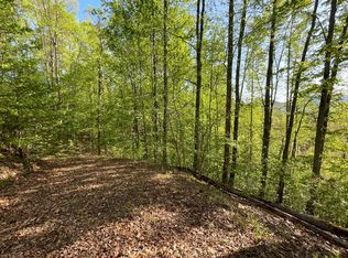 LOT 1C Lakewood Dr, Hayesville, NC 28904