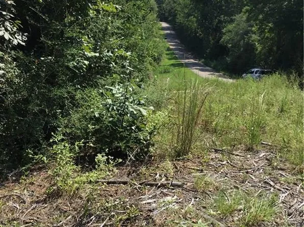 29637 Roscoe Dillon Rd, Franklinton, LA 70438