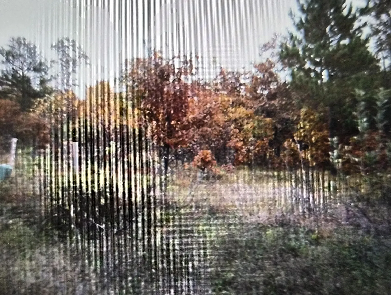 LOT 41 Northwood Dr photo 1