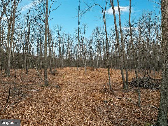 5th image of 0 Whispering Pines Rd