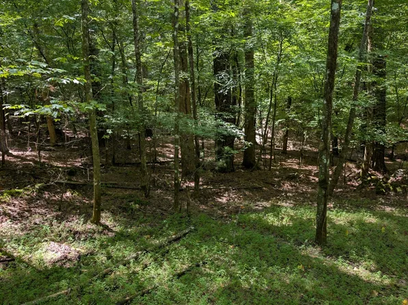 3079 Monocle Dr, Ellijay, GA 30540