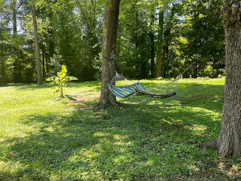 6654 Songwood Dr — Photo 3