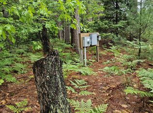 12343 Coster Rd SW, Fife Lake, MI 49633