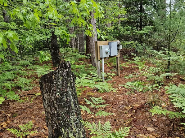 12343 Coster Rd SW, Fife Lake, MI 49633