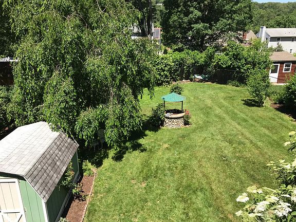 Backyard from back deck