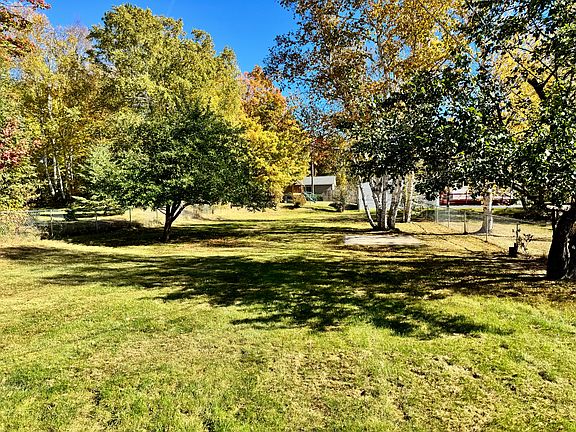 Back yard, looking back from the house.