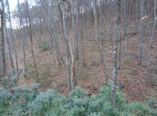 1019 Elko St, Selma, VA 24474