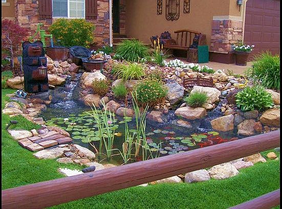 Front Koi Pond