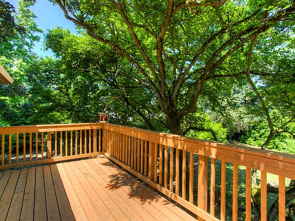 View from Deck