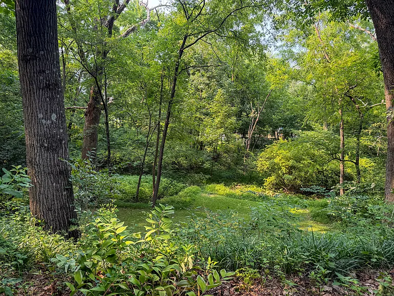 133 E Woods Dr — Photo 32