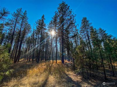 39683 Carp Lake Drive E, Davenport, WA, 99122