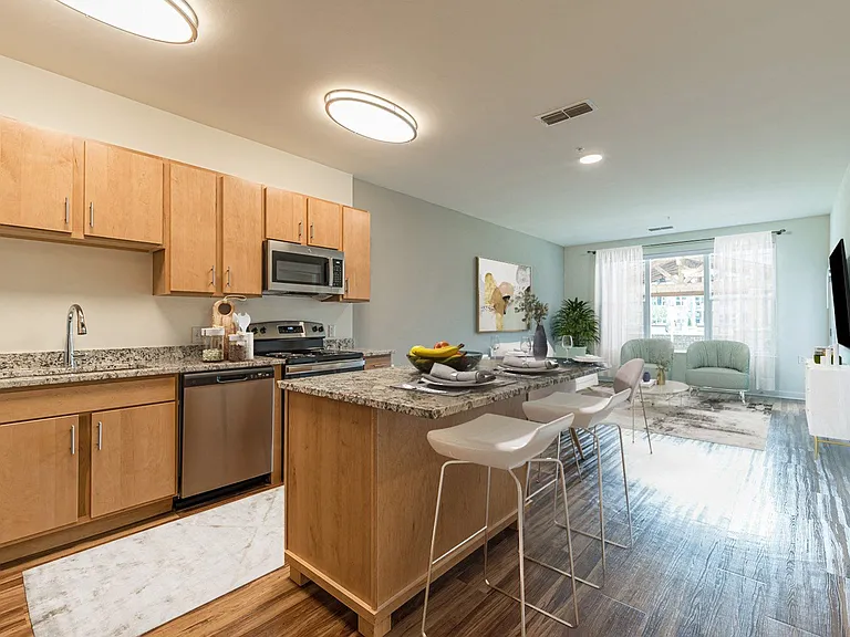 Preserve at Peachtree Shoals 55+ Apartments — Photo 50
