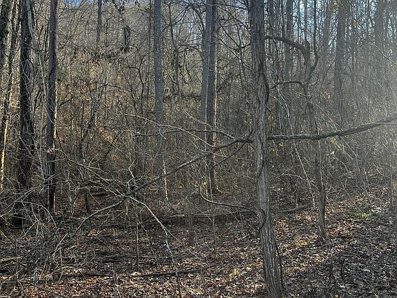 3rd image of 144 Laurel Lake Cir