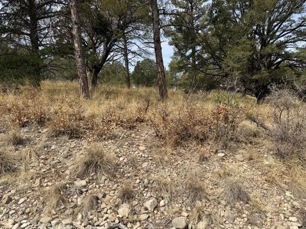 Pleasant Valley Dr, Cloudcroft, NM 88317