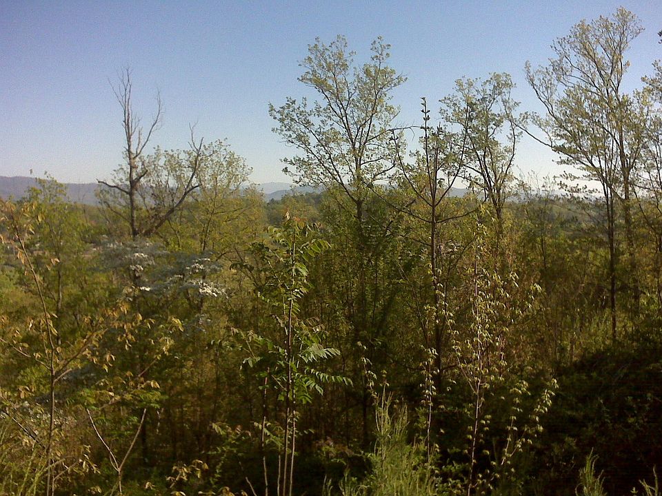 2nd image of 16 Falcon Crest Dr #16