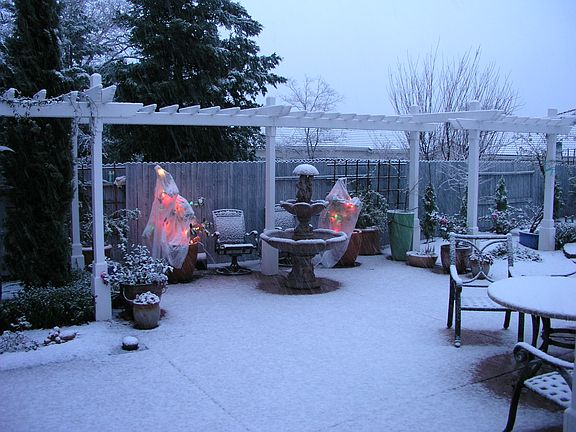 Snow about once every 5 year