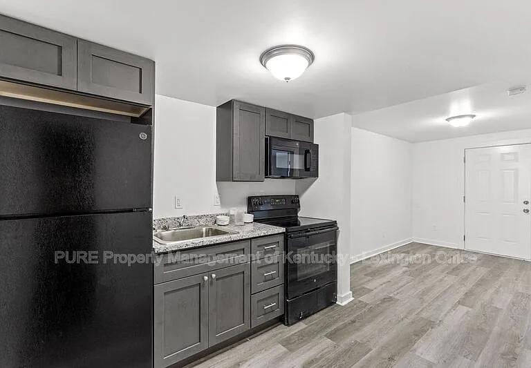 725 E College St #725 E COLLEGE STREET — Photo 3