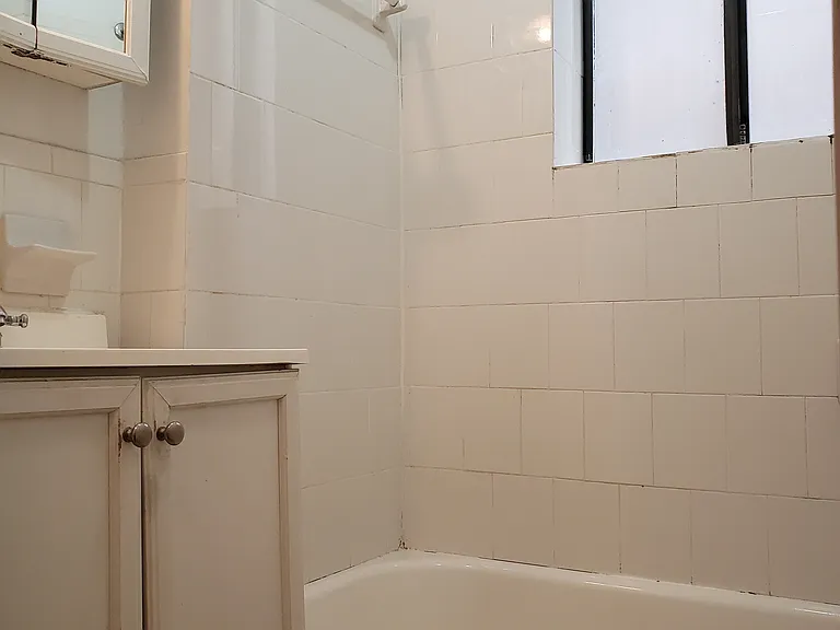 300 W 49th St #412 — Photo 5