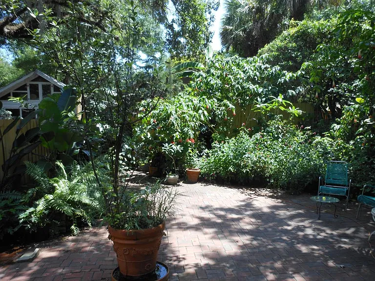 Back Yard Garden